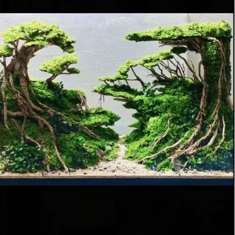 hardscape jungle cocok untuk tank p 40 cm siap pakai