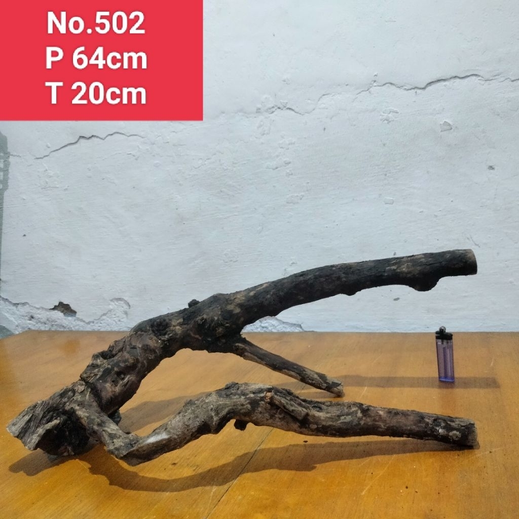 kayu santigi laut akar santigi laut dekorasi aquascape aquarium 502