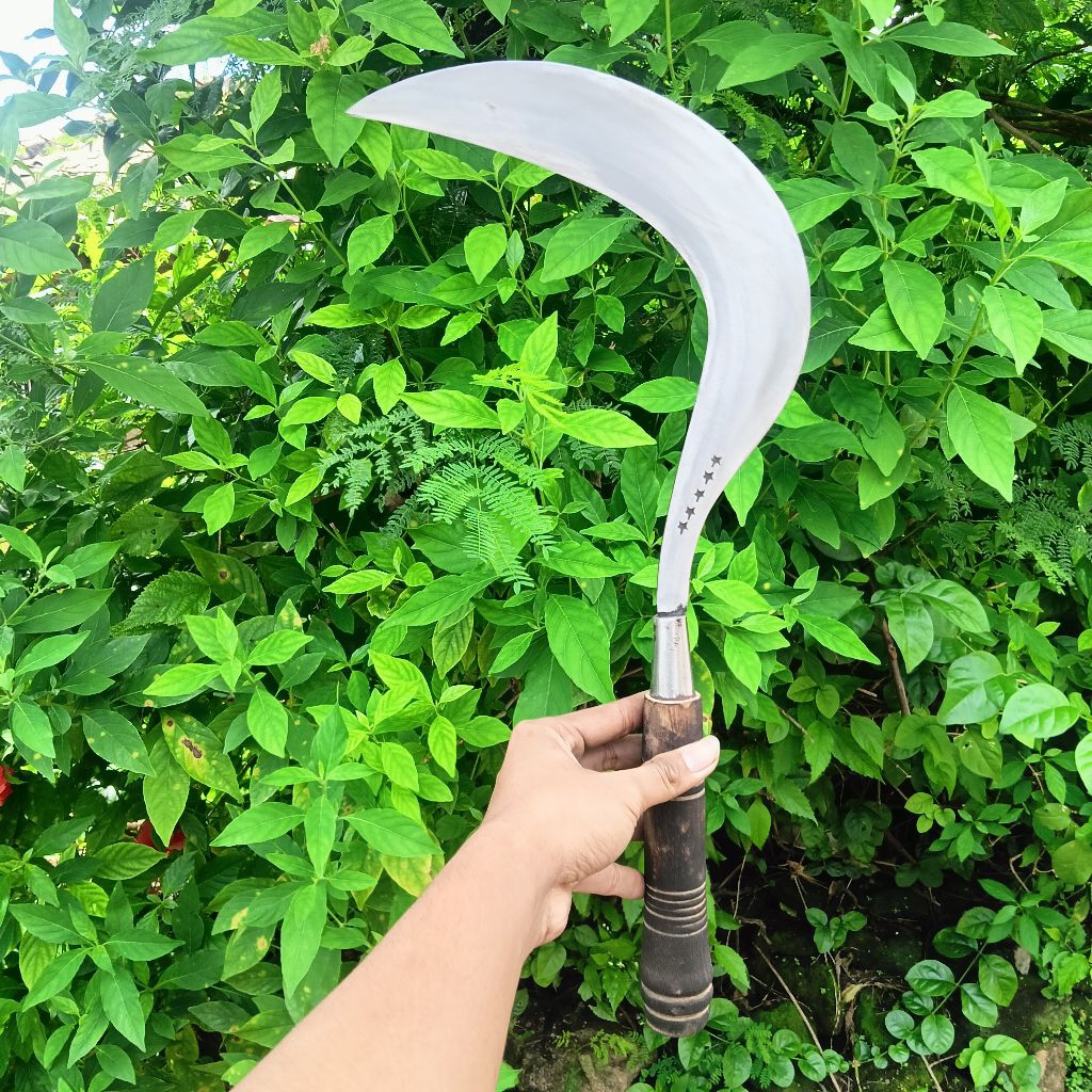 arit rumput madura baja asli