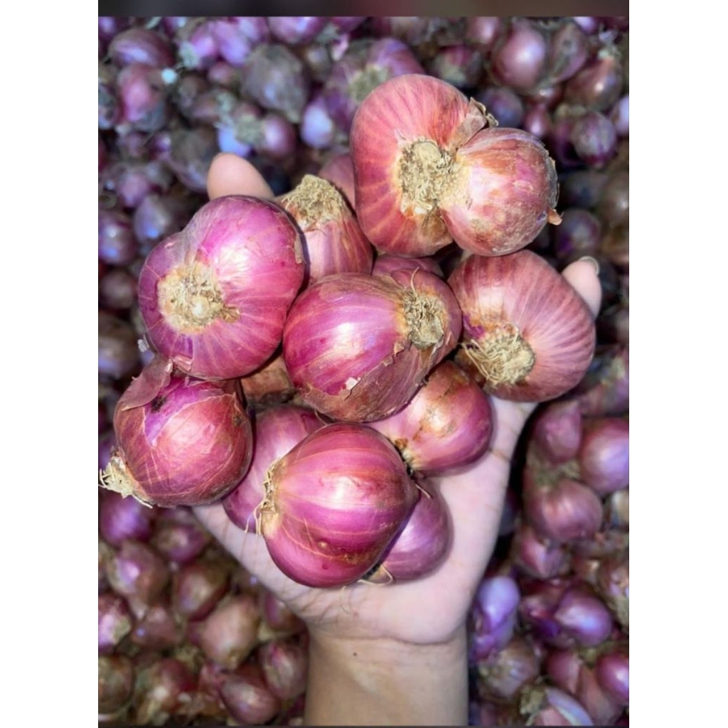 Bawang Merah Super Dan Kering 1Kg / Bawang merah Besar Murah / Bawang Merah JUMBO Lokal