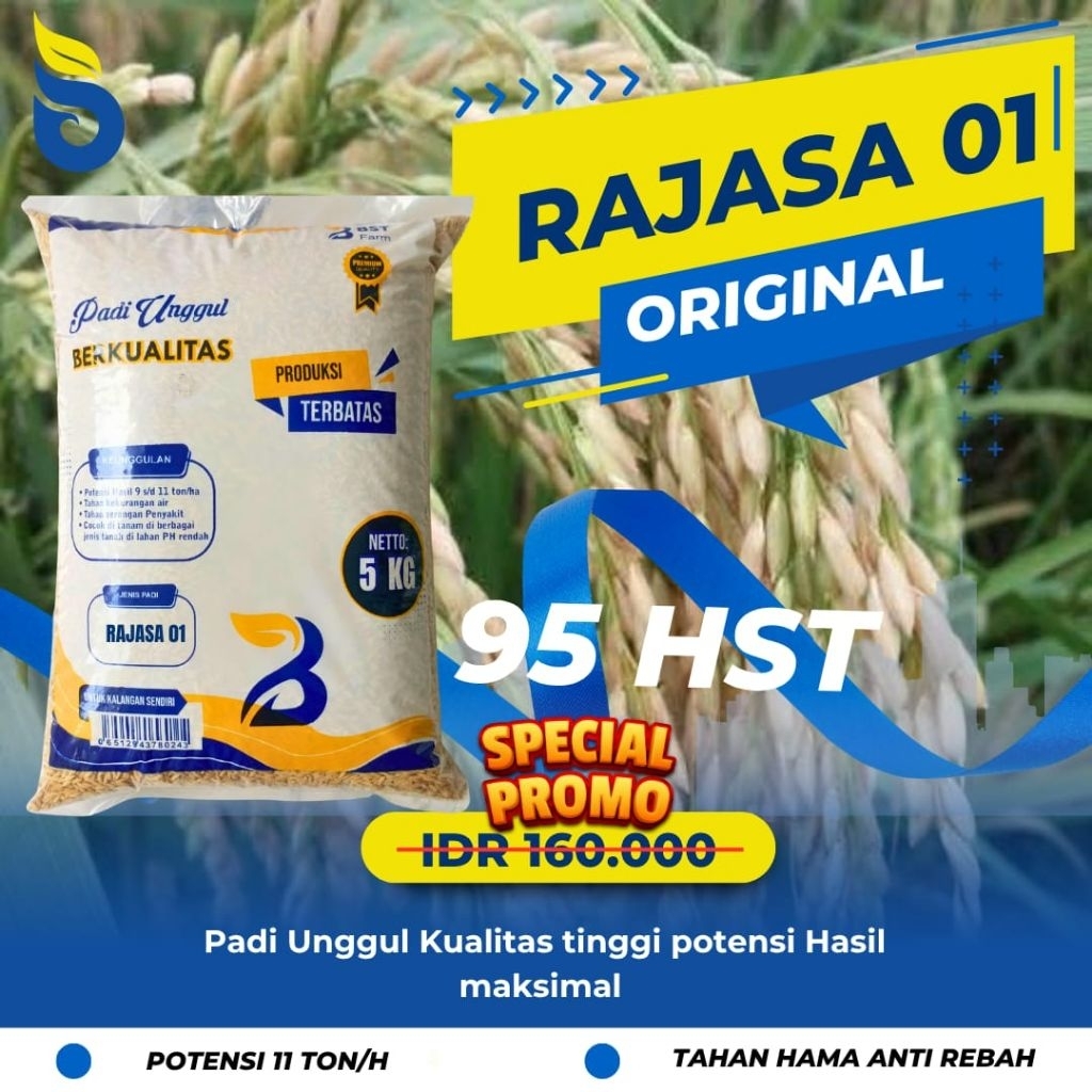 Benih padi unggul Rajasa kemasan 5kg