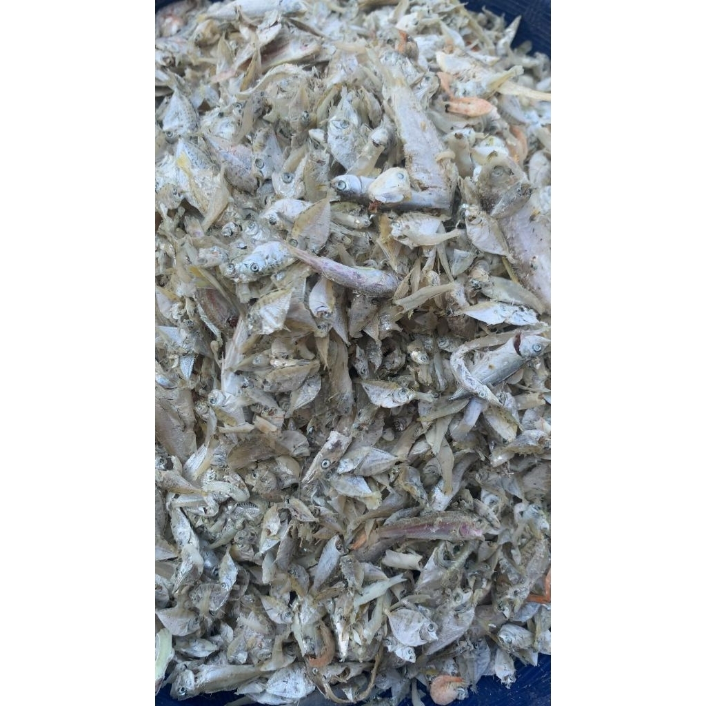 IKAN ASIN PETEK KECIL GURIH