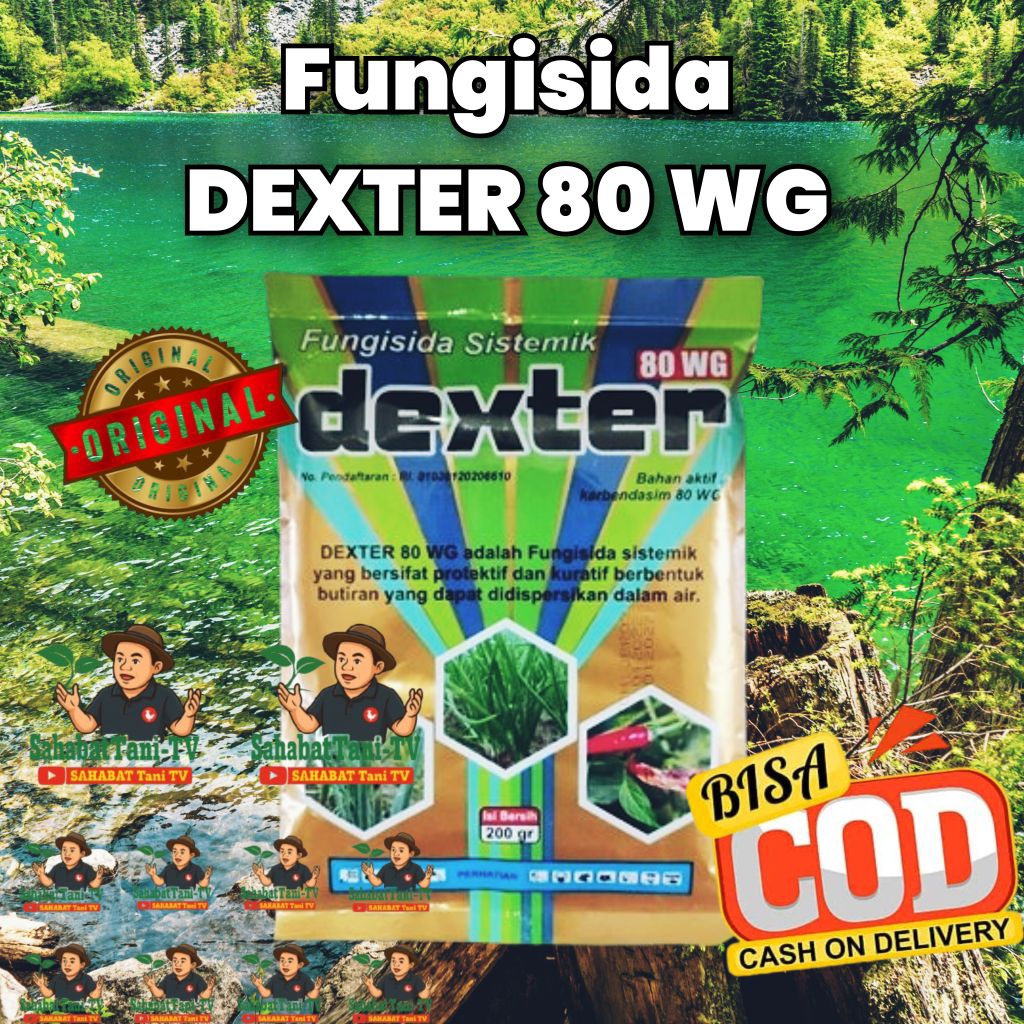 DEXTER FUNGISIDA SISTEMIK 80WG kmsn 200gr