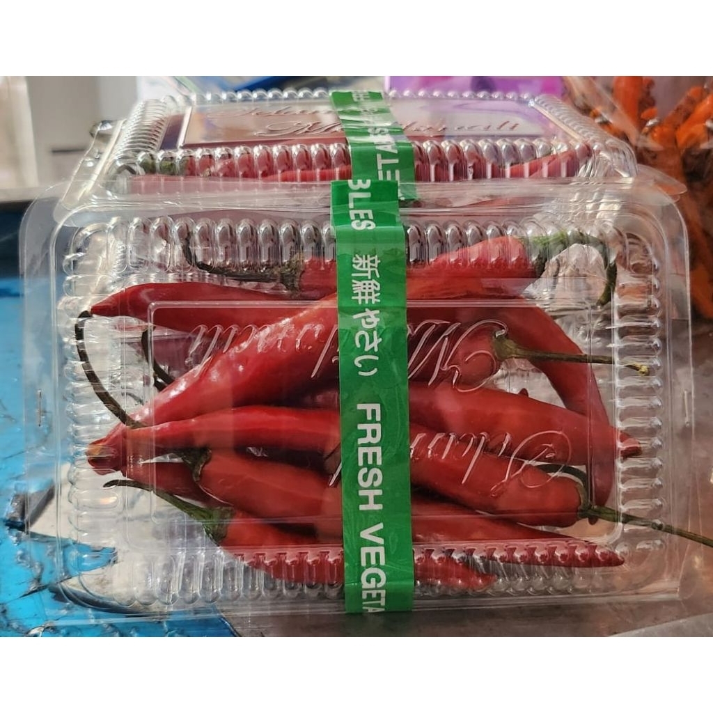 LOMBOK BESAR MERAH DAN HIJAU