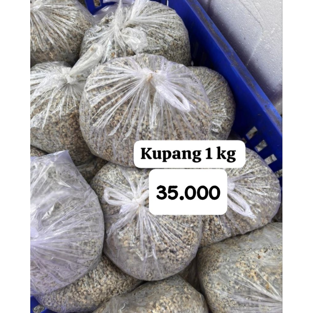 KUPANG MENTAH UNTUK LONTONG KUPANG 1KG
