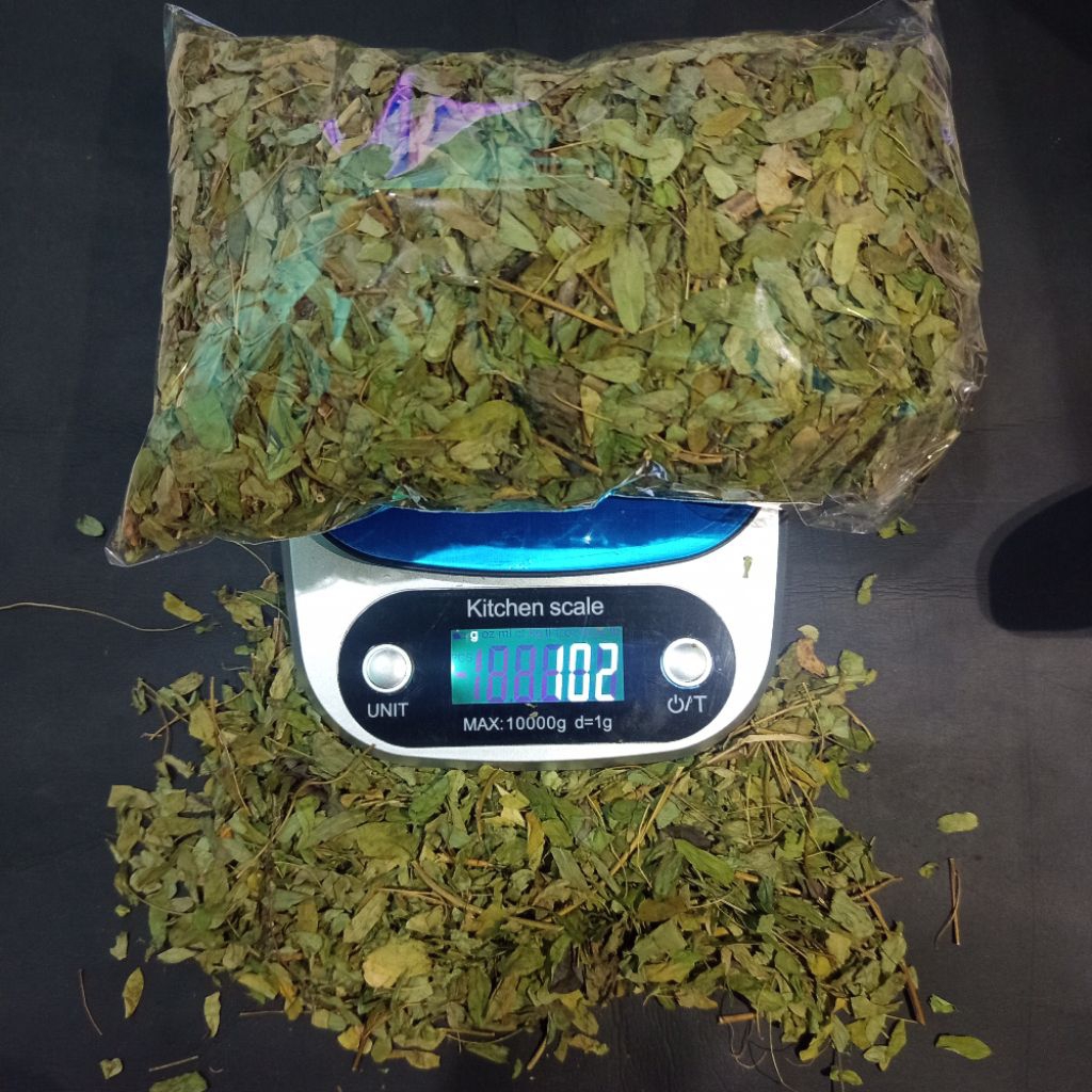 Daun Saga Kering 100 Gram bersih original Daun Saga Kering
