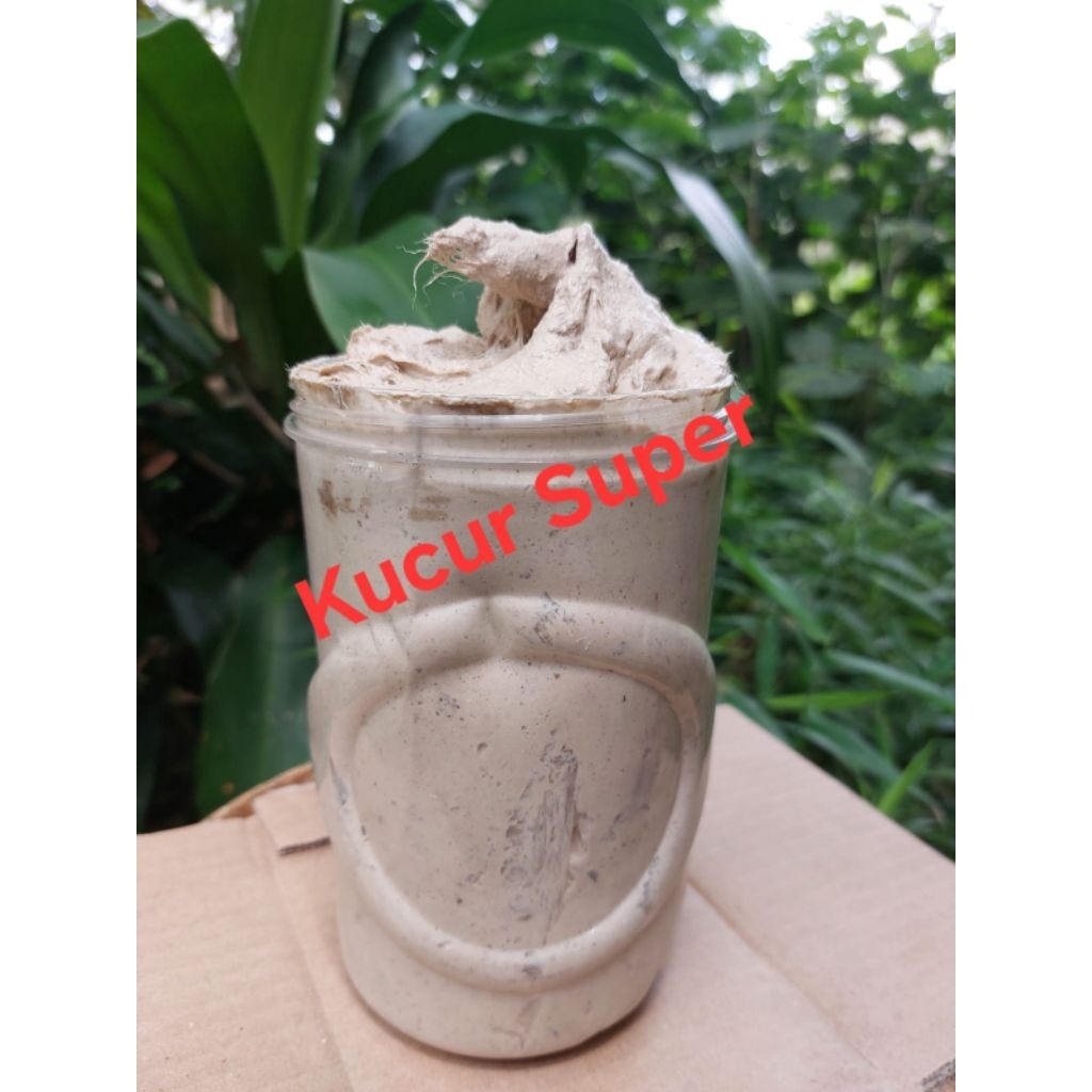 umpan pancing kucur super