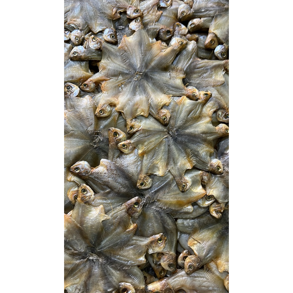 ikan asin sepat rawa