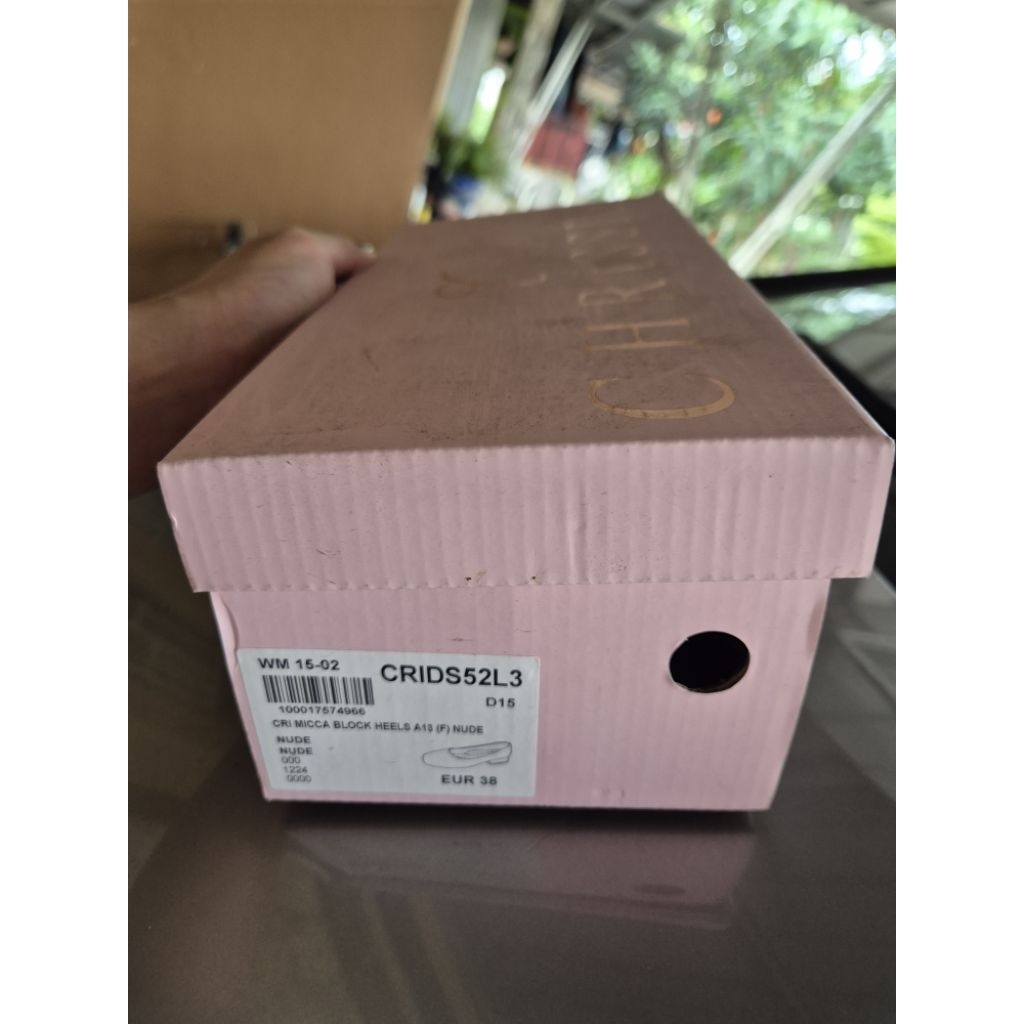 Chrissie Heels Nude (beli di payless)