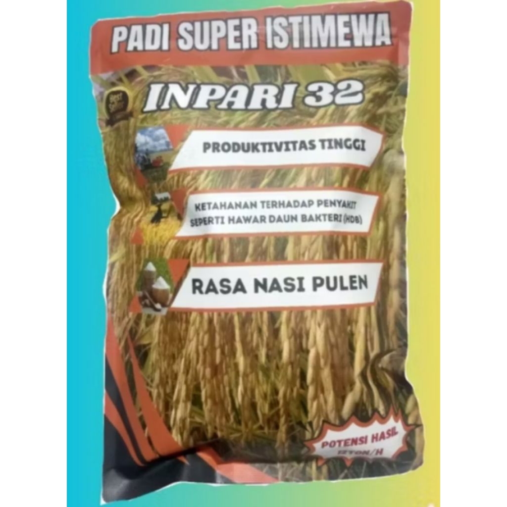 BENIH PADI INFARI32 JUMBO