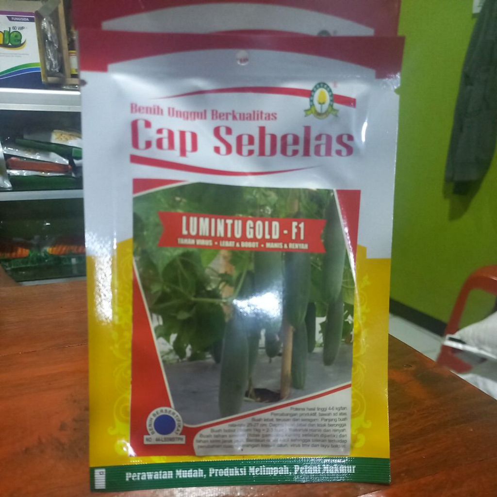 lumintu Gold F1 Benih Timun Tavi