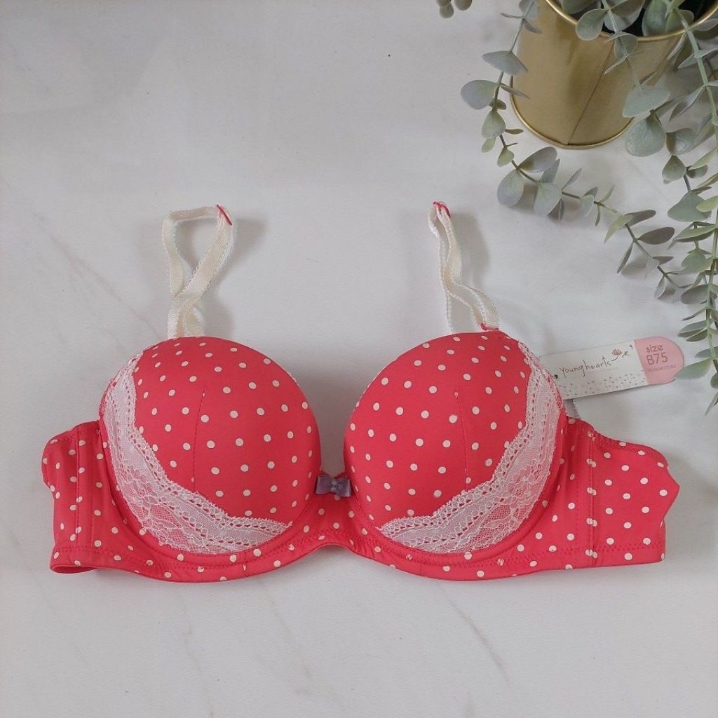 Young hearts bra 34b 75b busa tipis pakai kawat nyaman untuk sehari hari motif polkadot warna merah 