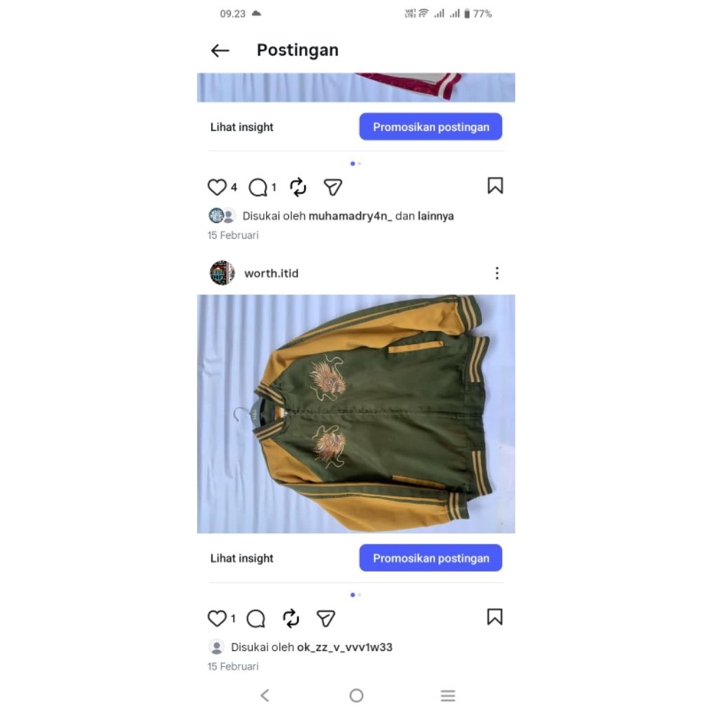 sukajan erigo dragon