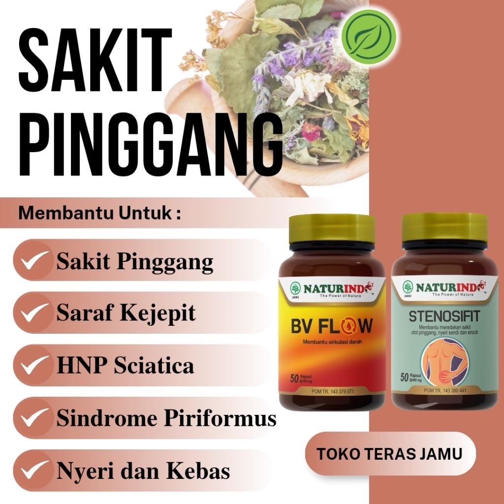Obat Sakit Pinggang Syaraf Kejepit Herbal Stenosifit Naturindo