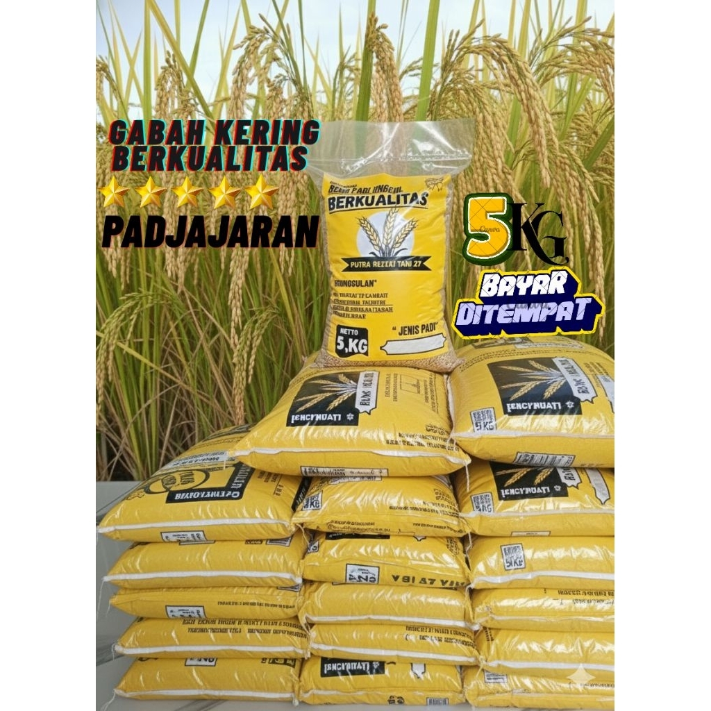 BENIH PADI BIBIT PADI UNGGUL PADJAJARAN (Kemasan 5KG)