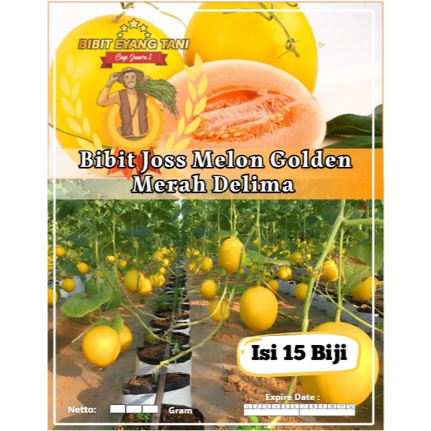 Bibit Joss Melon Golden Merah Delima | Biji Benih Melon Golden Red | Melon Golden Red