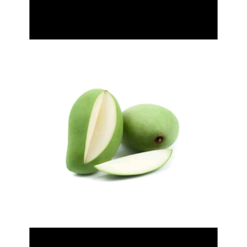 mangga muda mentah per 509 gram