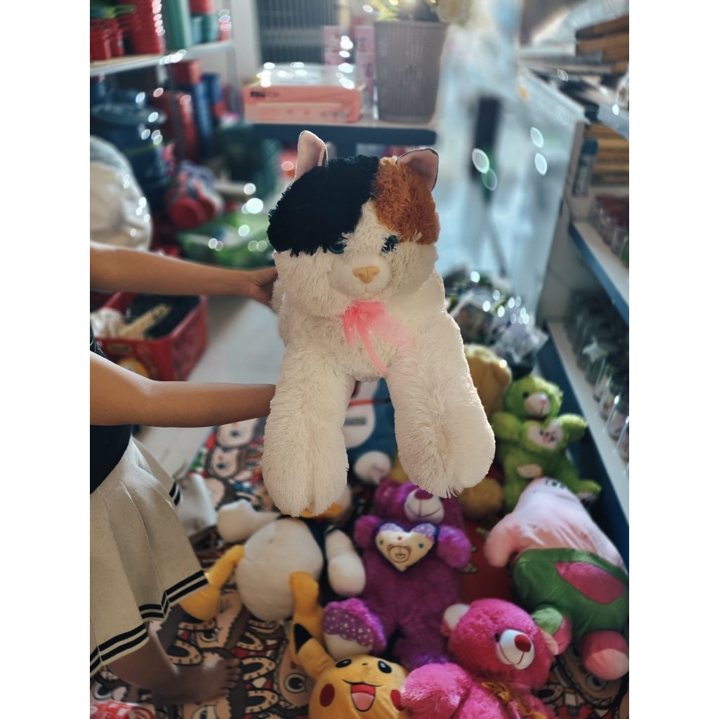 Boneka Kucing Lucu || Boneka size Medium || Boneka Untuk Kado