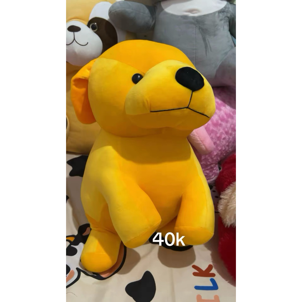 boneka Timezone