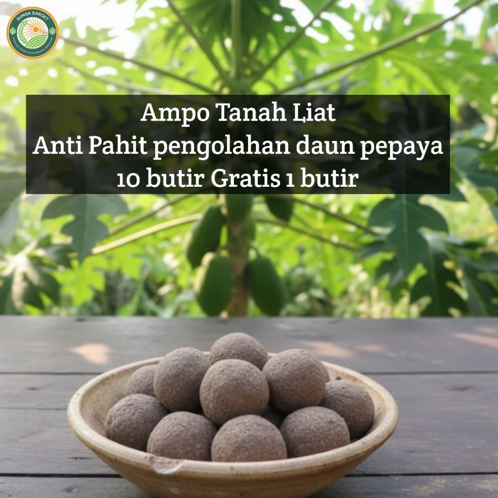 Ampo Tanah Liat Untuk merebus daun pepaya Anti pahit