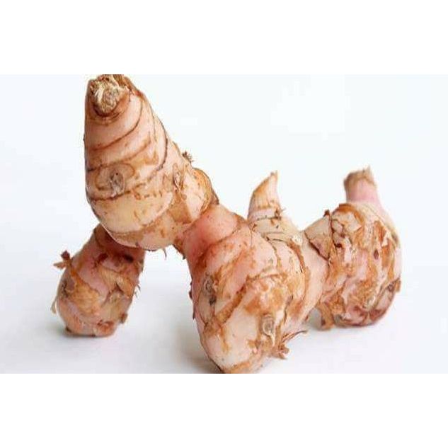Lengkuas Fresh Pasar Induk 1Kg