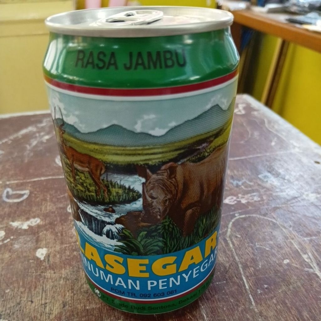 Lasegar Kaleng
