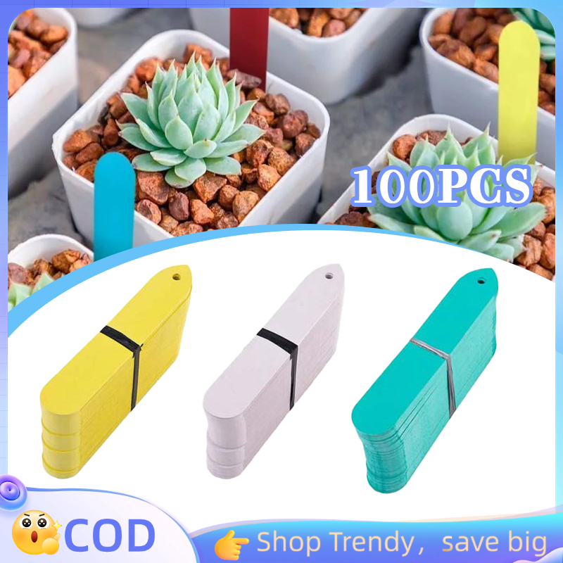 100pcs/set Label Anggrek Label Tag Tanaman Nametag Tanaman Kertas Label Tanaman