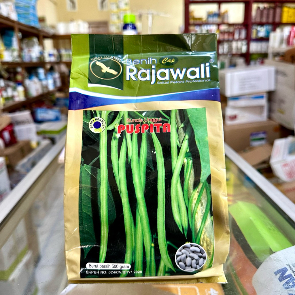 Benih Buncis PUSPITA 500 Gram Cap Rajawali - Bibit Buncis Puspita 500 Gram