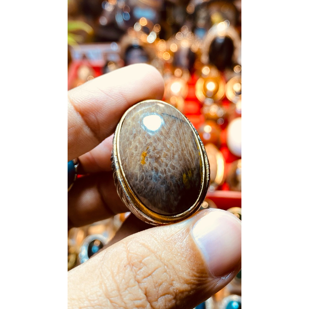 BATU AKIK FOSIL BAMBU WULUNG FOSIL BAMBU HITAM JUMBO KUALITAS HQ