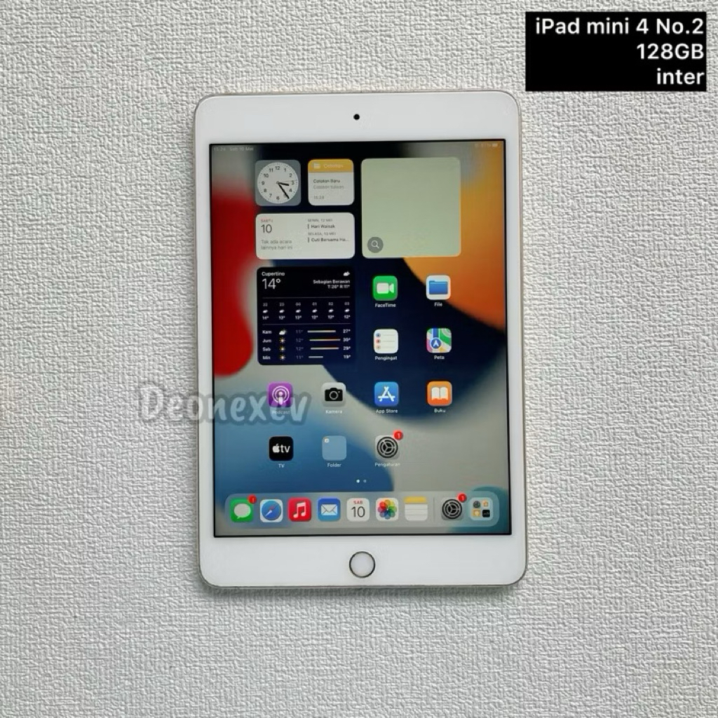 iPad mini 4