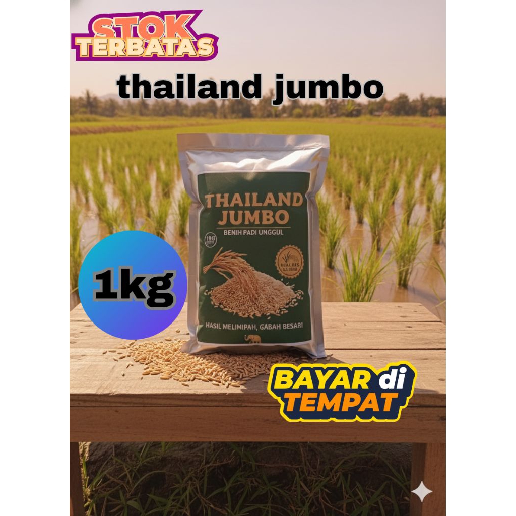 Benih Padi Unggul terbaik Thailand Jumbo 1 Kg,aromatik kualitas original