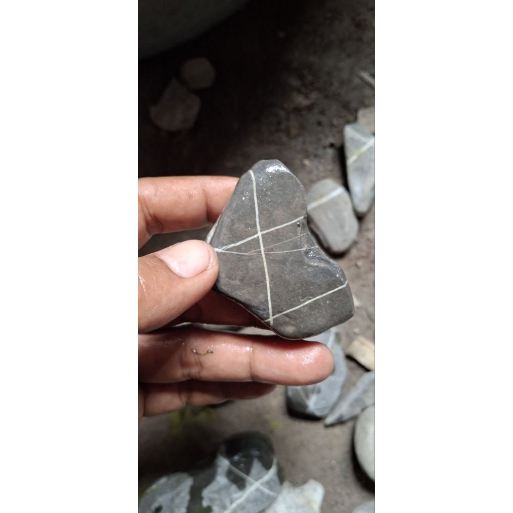 akik tapak jalak badar emas