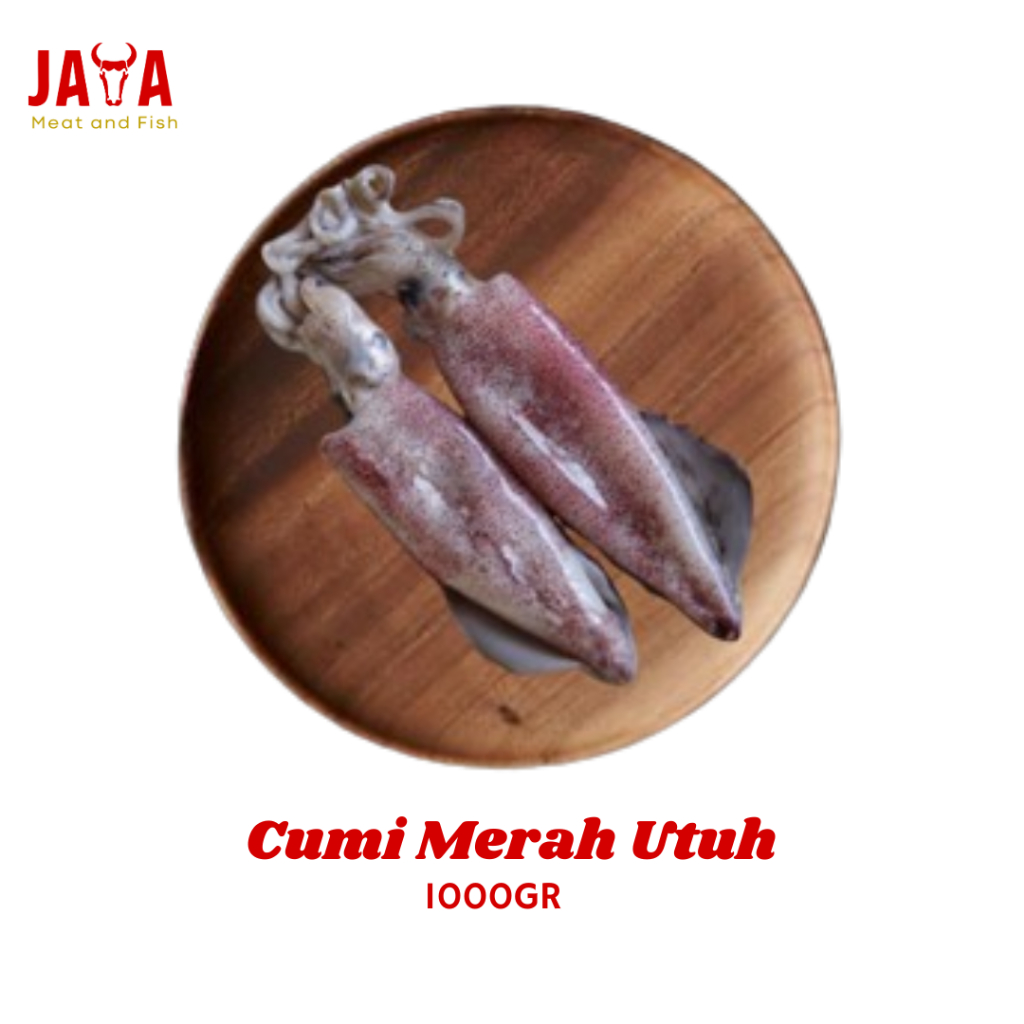 Cumi Merah Segar 1 Kg | Cumi Besar Fresh 1 Kg