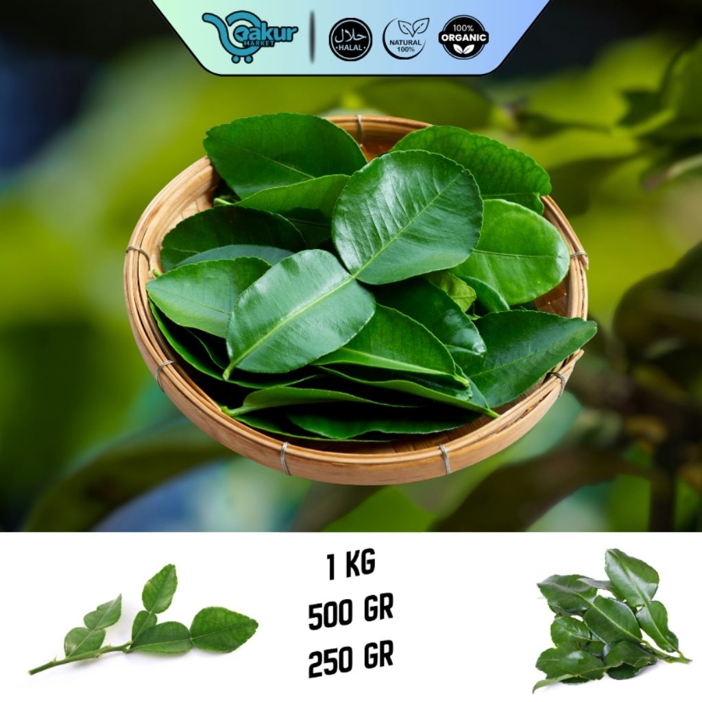 1 Kg Daun Jeruk Purut Segar Wangi Alami Hijau Pilihan Bumbu Dapur