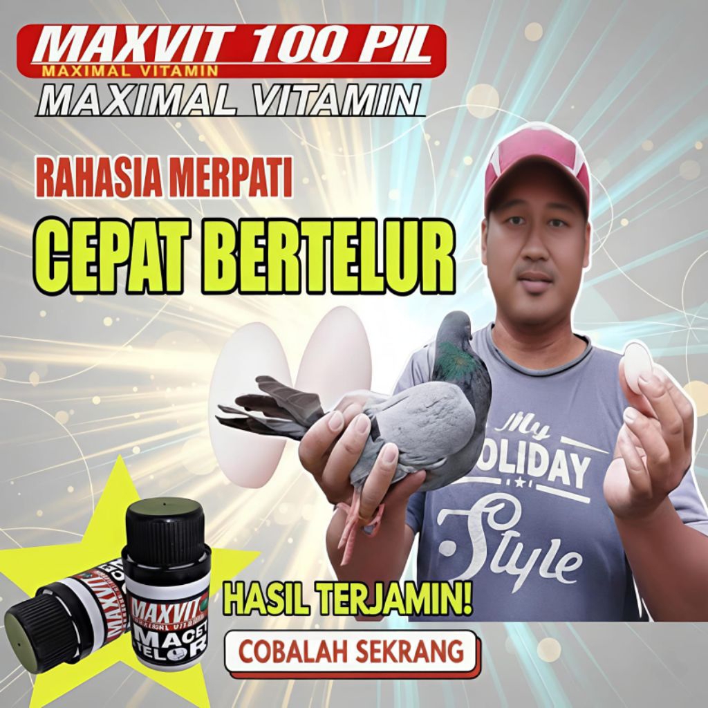 Jamu Macet Telor Merpati Betina MAXVIT 100 PIL paling efektif ampuh cepat bertelur dan giring keras