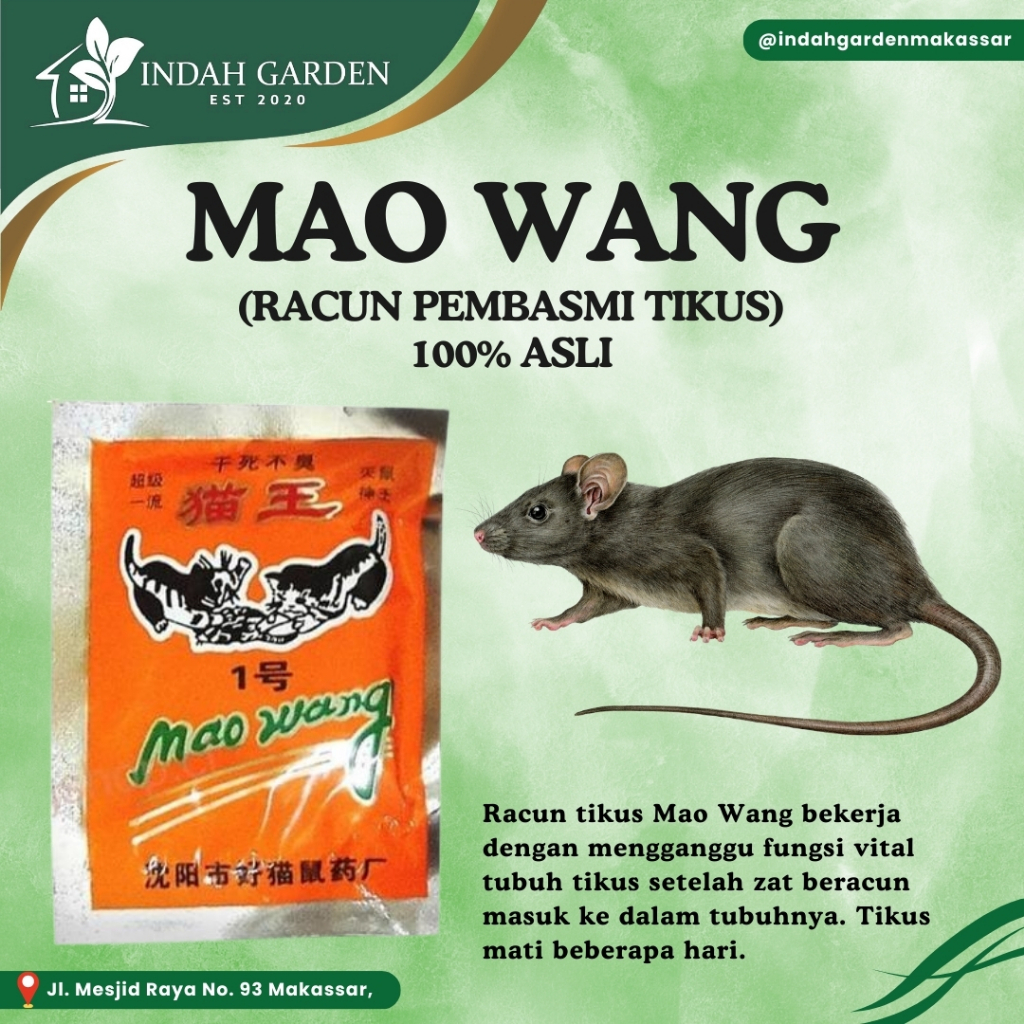 Racun Tikus Mao Wang Obat Umpan Bunuh Hewan Maowang Praktis Aman