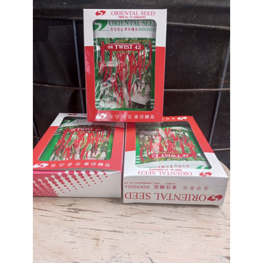 Benih cabe  or twist 42 original