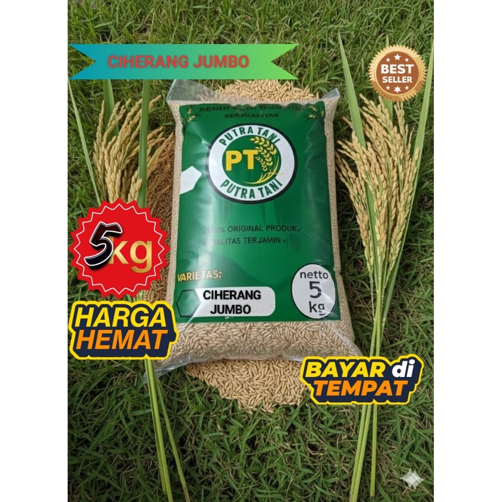 CIHERANG JUMBO(KEMASAN 5KG)BENIH PADI UNGGUL BIBIT PADI BERKUALITAS PREMIUM