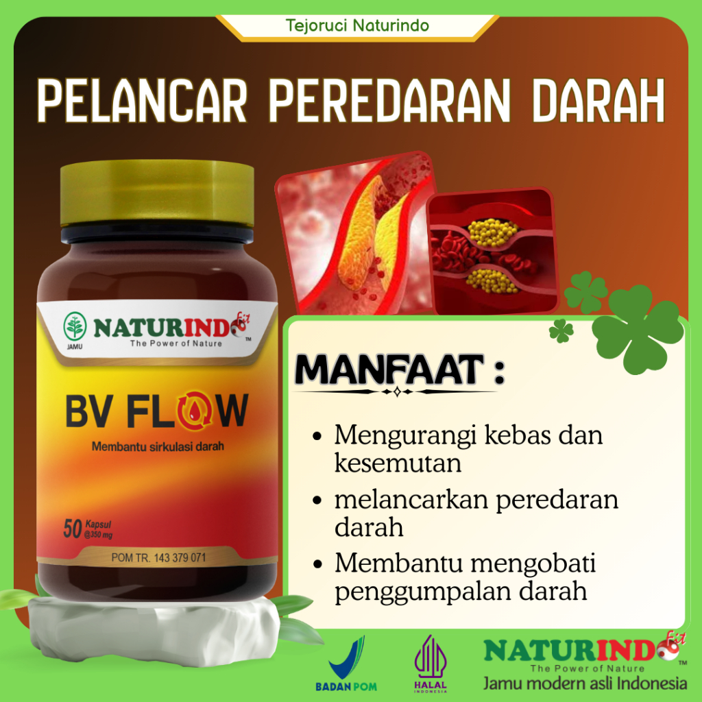 BV FLOW Naturindo | Herbal Pelancar Peredaran Darah | Herbal Atasi Varikokel | BPOM & Halal