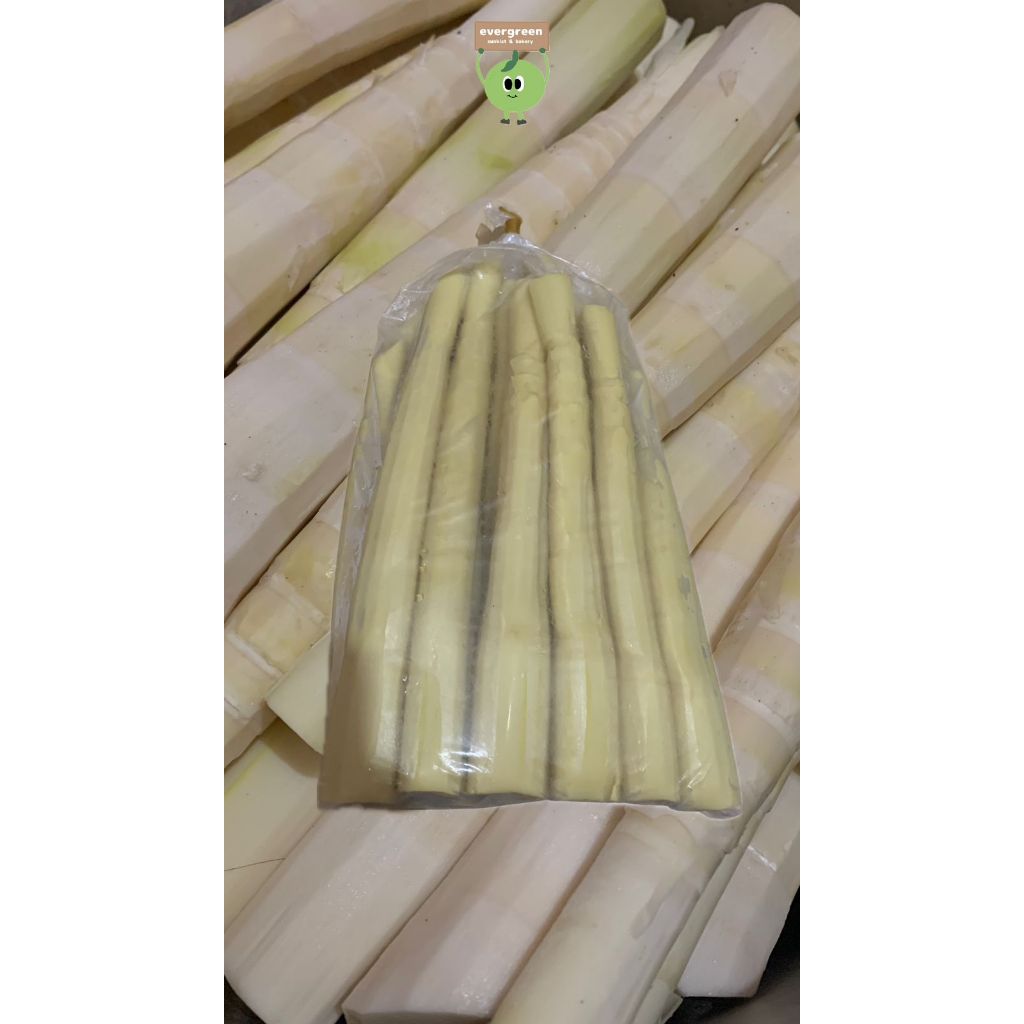 Rebung Muda Rebus Kalimantan Fresh / Chuk Sun Kalimantan Enak Dimasak Gulai 1KG Dalam Plastik Tahan 