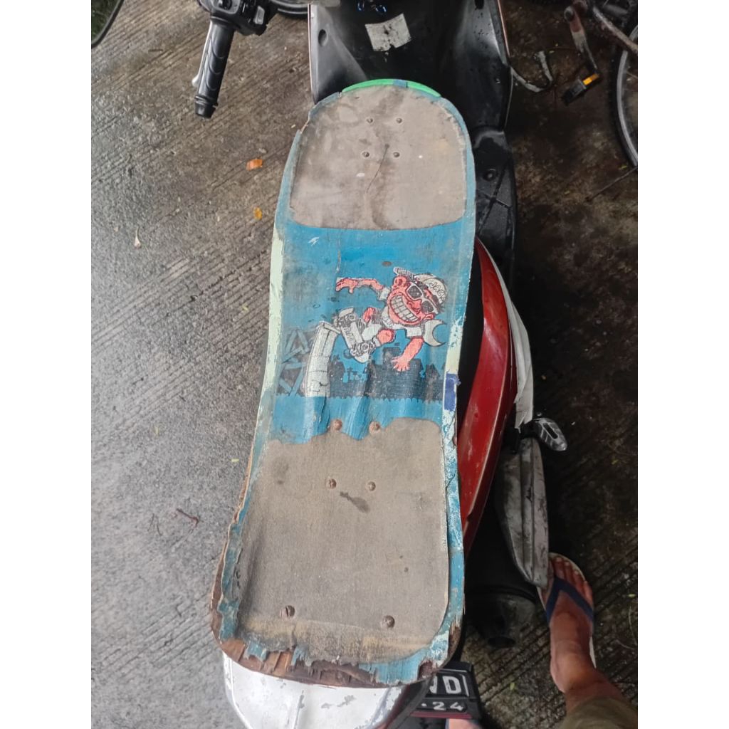 skateboard vintage dewasa
