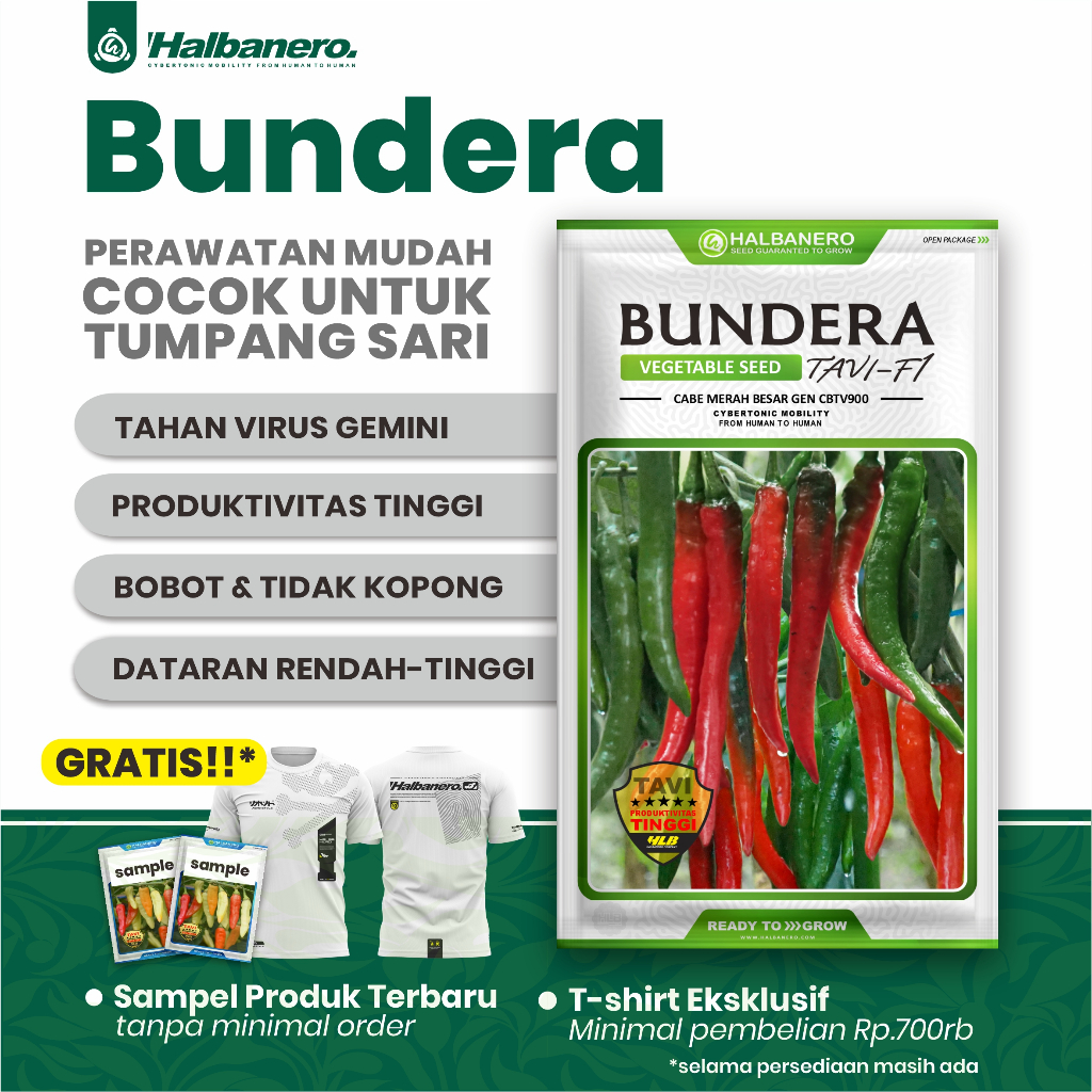 BUNDERA BENIH CABAI BESAR TAVI F1 HALBANERO