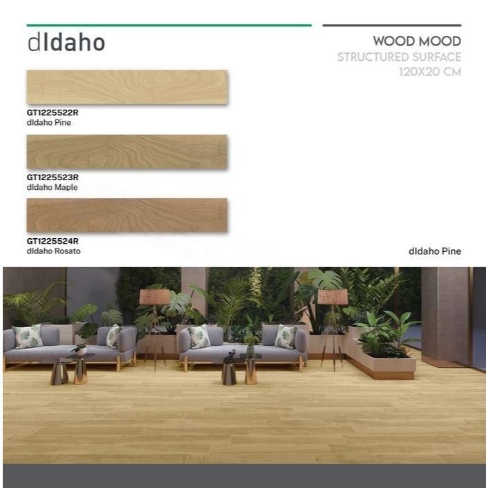 ROMAN GRANIT 120x20 dIdaho