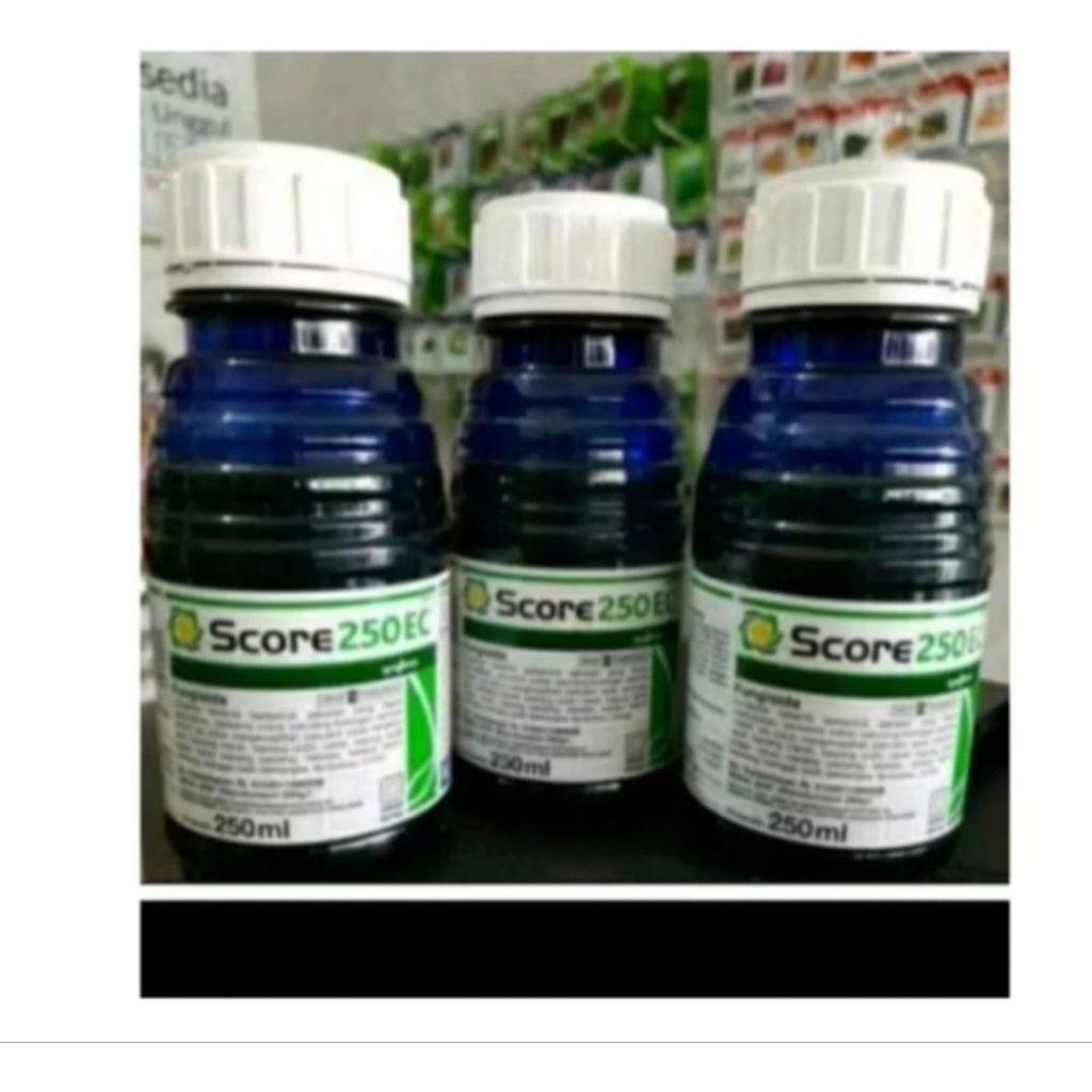 Score 250 ml