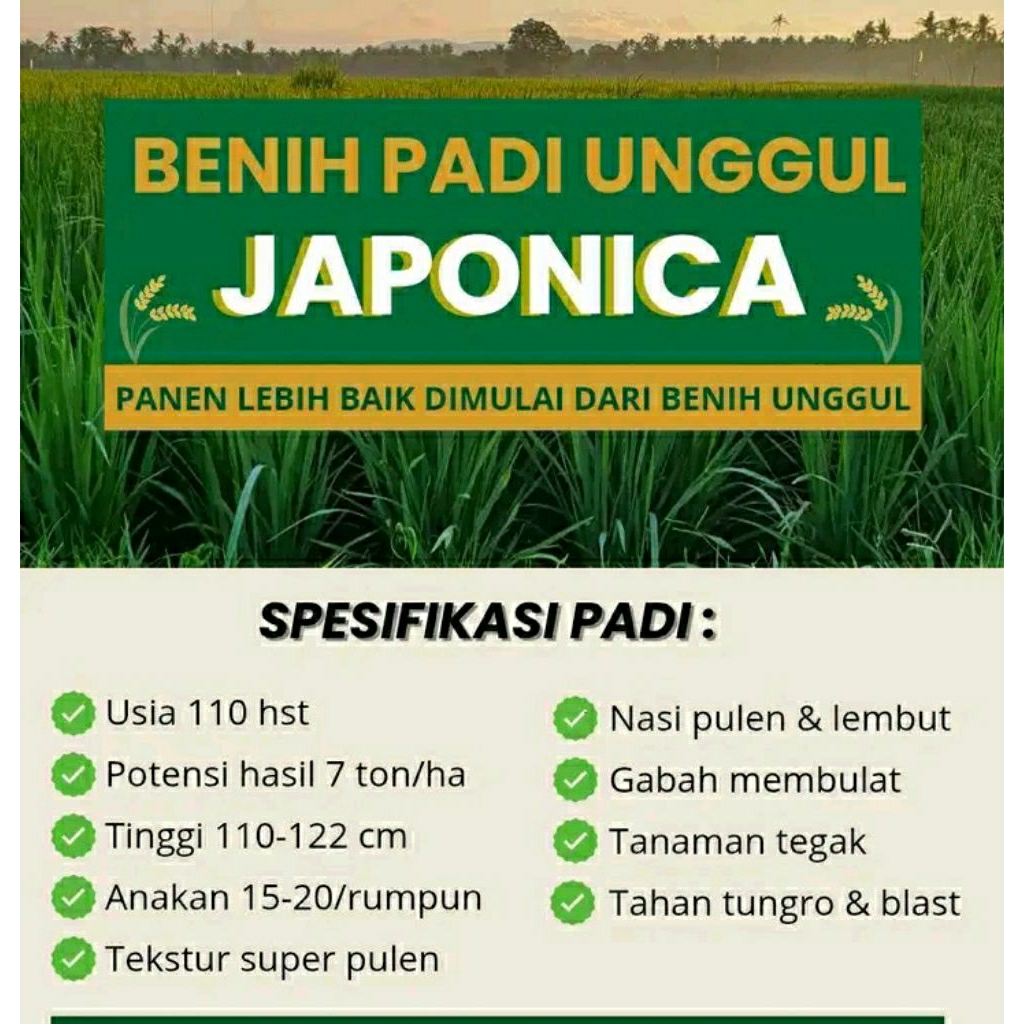 BENIH PADI JAPONICA 1KG