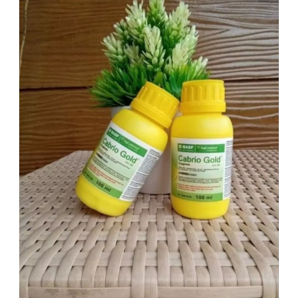 Cabrio Gold 100ml