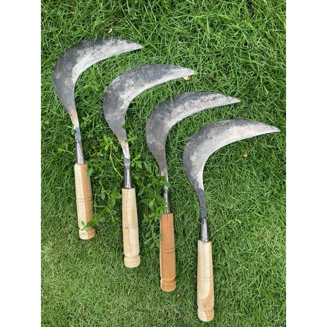 Arit Sabit Baja Tempaan | Arit Panen Rumput & Padi Gagang Kayu Kuat