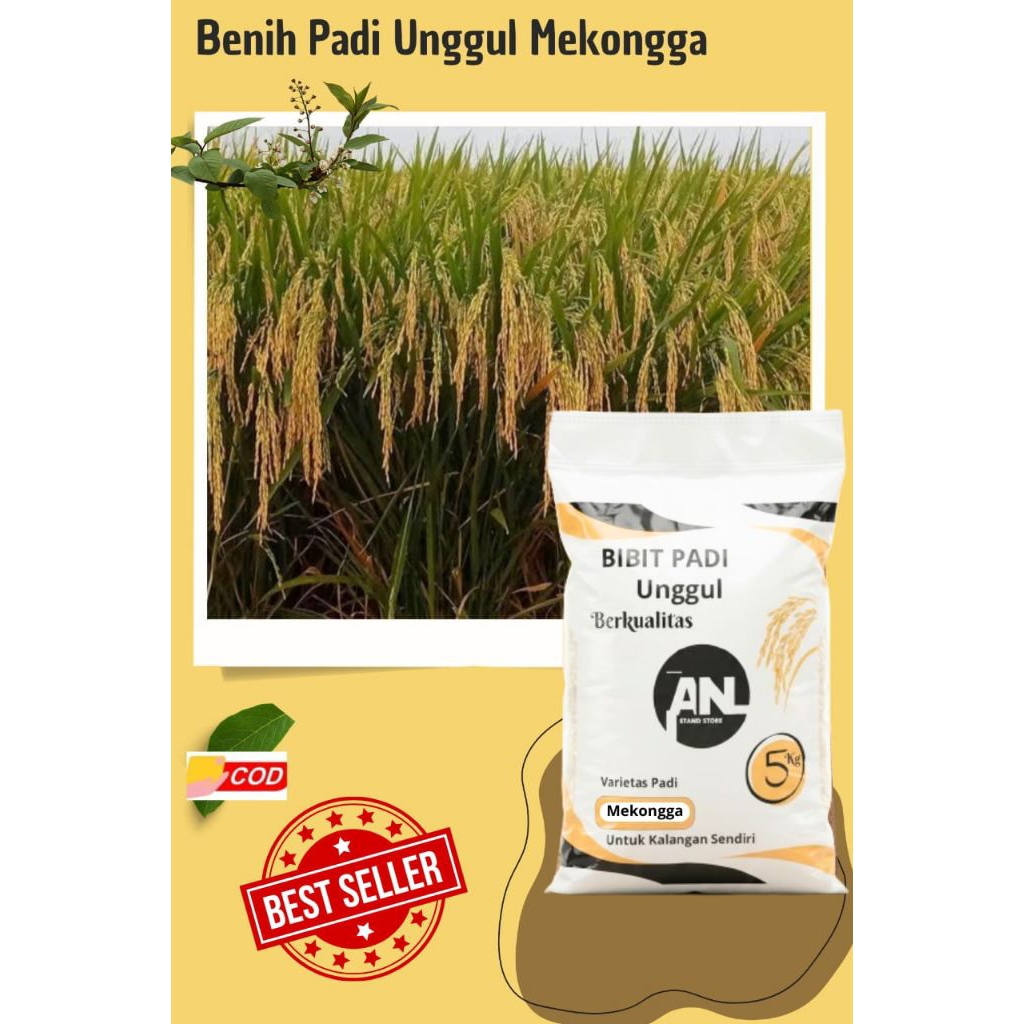 Benih Padi Unggul Mekongga Original Premium Kemasan 5 Kg