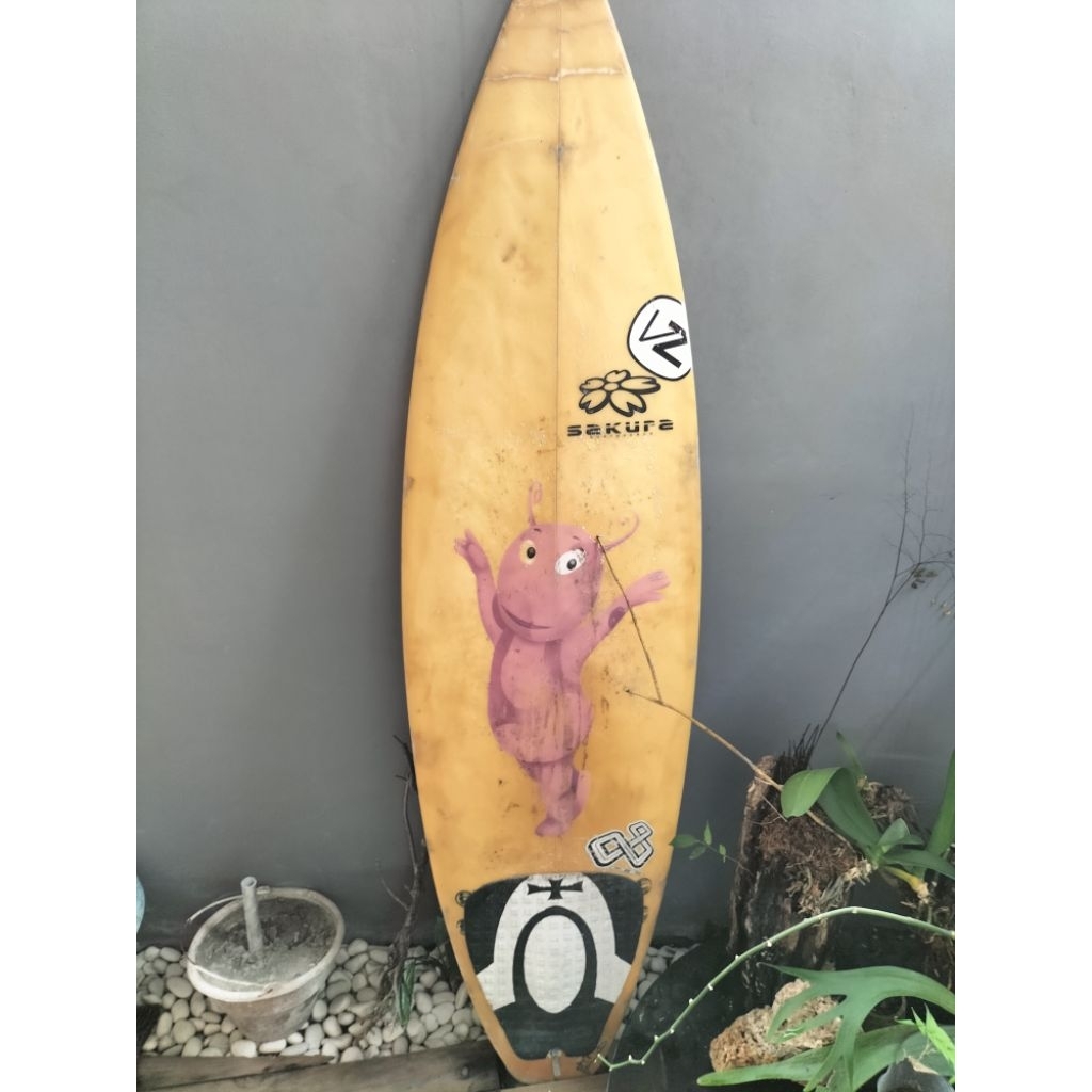 papan Surfing bekas