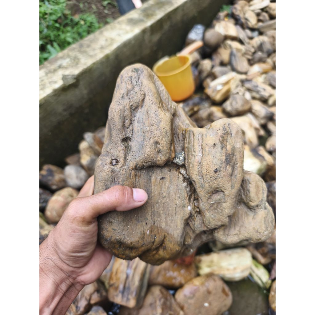 BATU FOSIL GALIH ASEM KRITING